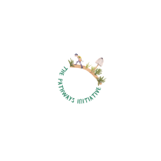 The Pathways Initiative